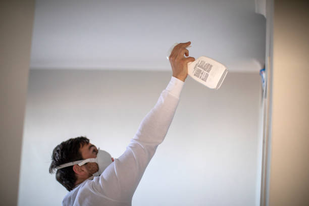 Best Mold Removal Process  in Edgeworth, PA